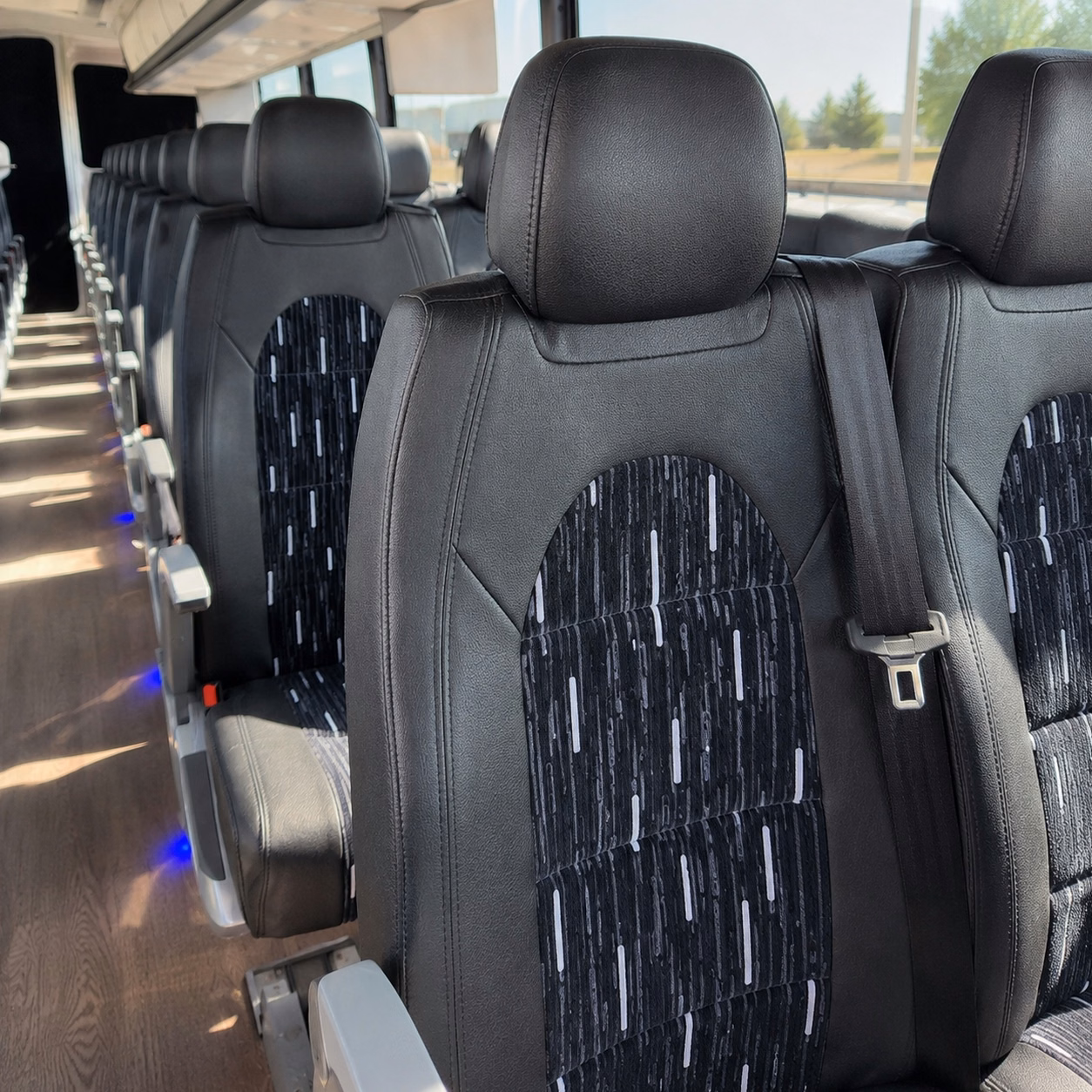 compare bus rental options in hamilton with one quick online quote